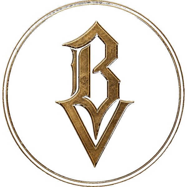Black Valor BV logo